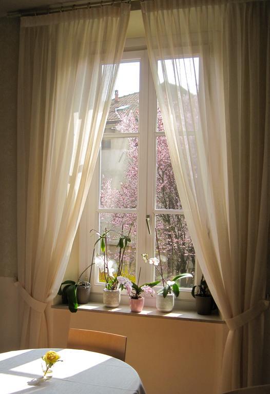 Giglio Hotel 3*